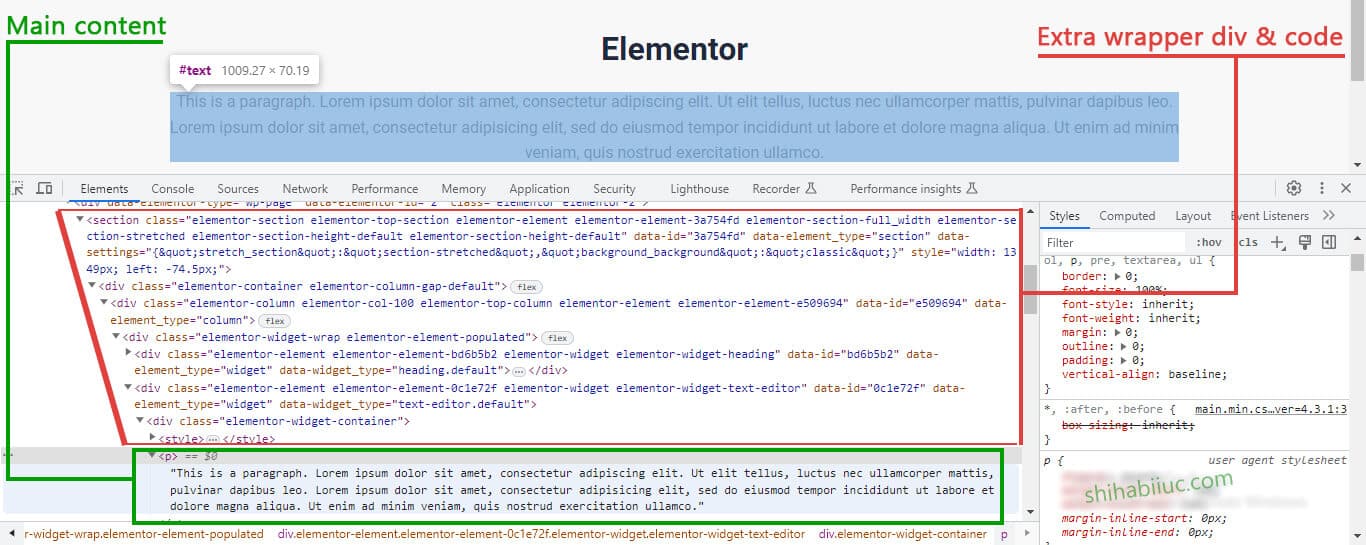 Elementor extra wrapper div and code for a single paragraph