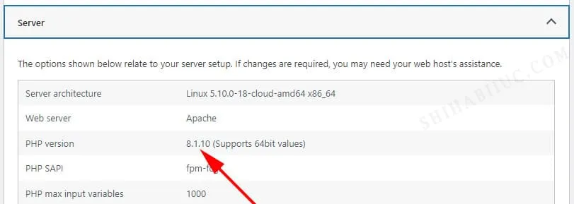 Checking PHP version on WordPress dashboard