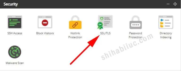 SSL/TLS option under “Security” section on Eco Web Hosting cPanel