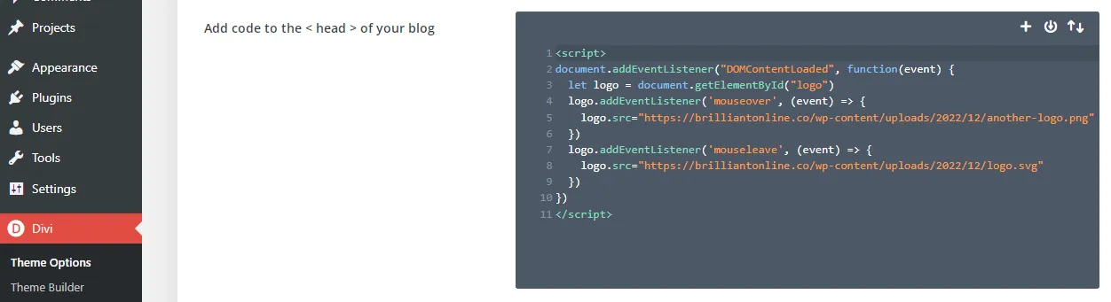 Add code to Divi theme