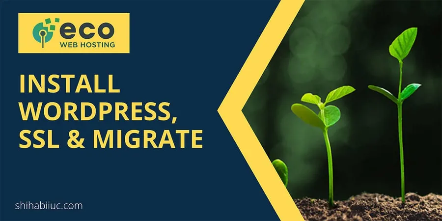 Eco Web Hosting: how to install WordPress, SSL certificate and migrate a new WordPress website to this hosting