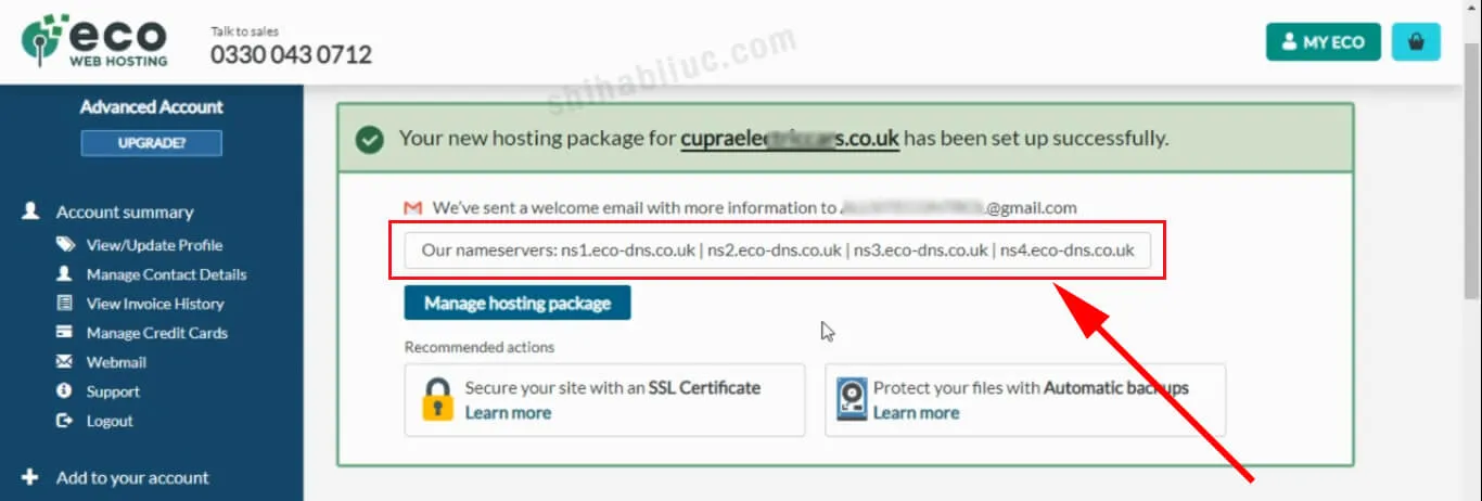 A new hosting package has been created for the new domain that needs to add Eco Web Hosting nameservers
