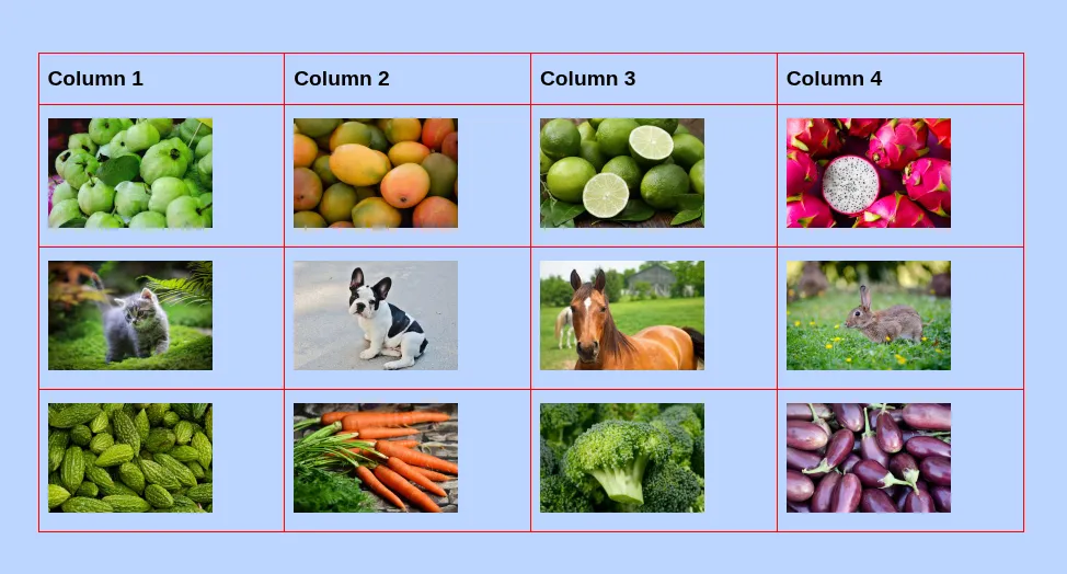 Left align image in the table