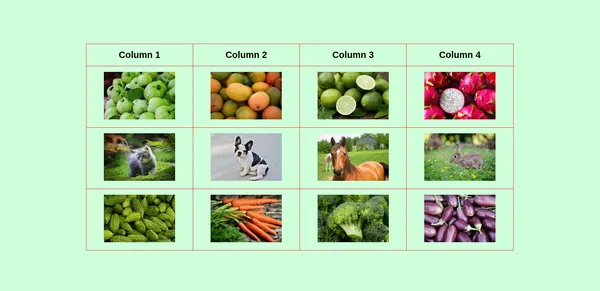 How to add images to an HTML table?
