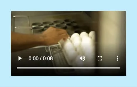 Mobile responsive video in HTML page