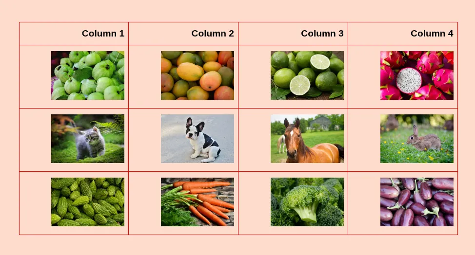 Right align image in the table