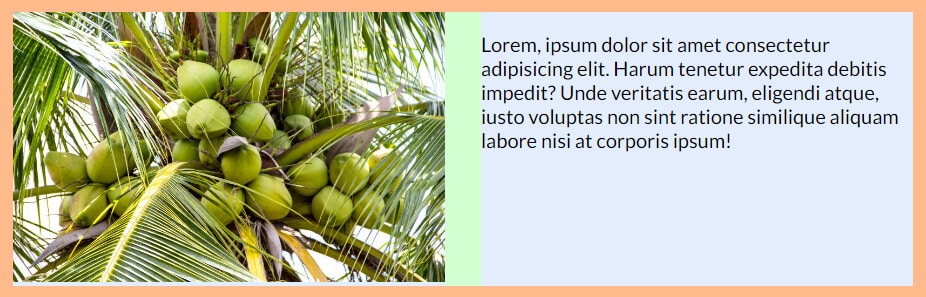 side by side image and text