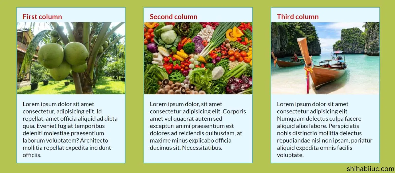 Example of a three column layout that I am going to build in this post