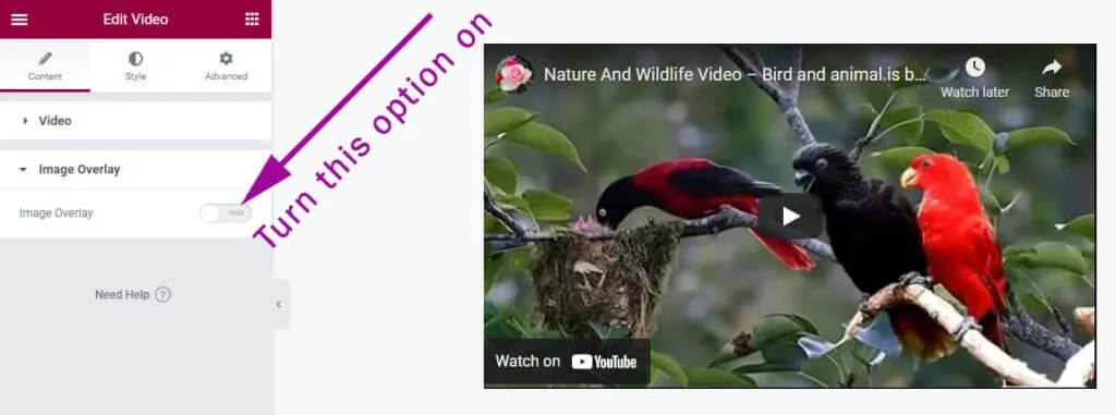 Turn on video overlay option in elementor