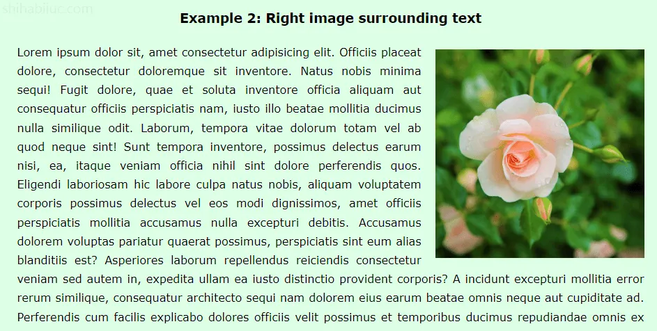 wrapping text around an image