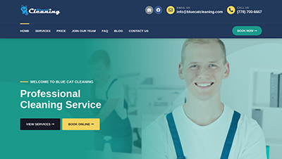 website design portfolio, bluecat commercial cleaning
