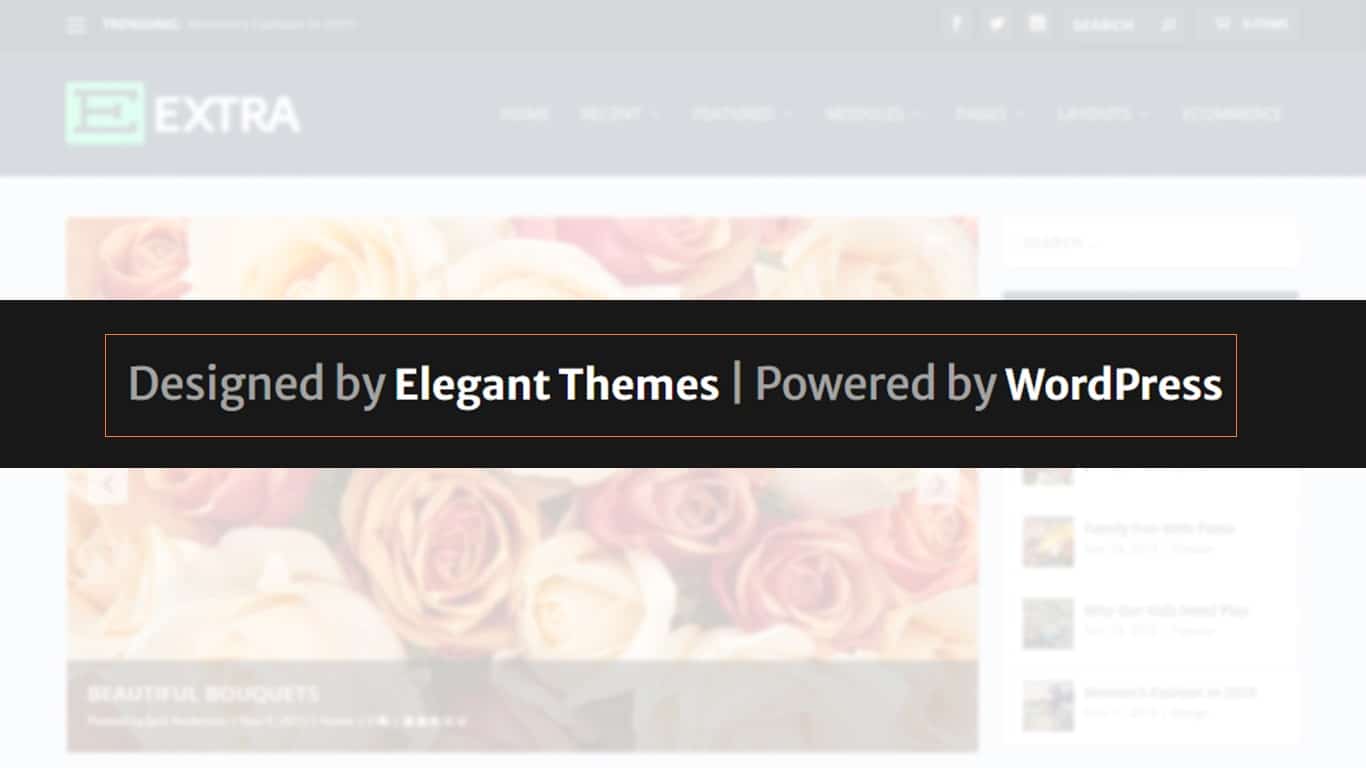 Extra theme default footer credit