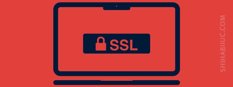 SSL infographic