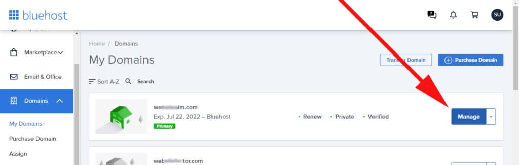 Manage domain on Bluehost
