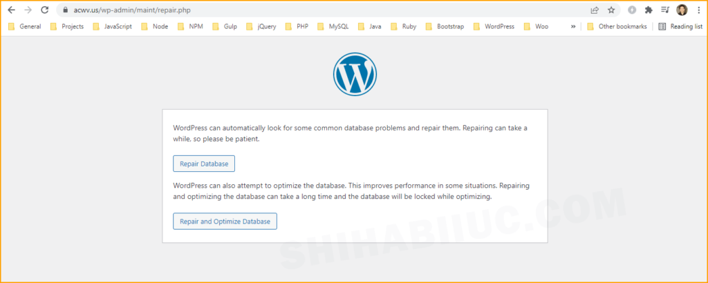 WordPress database repair options
