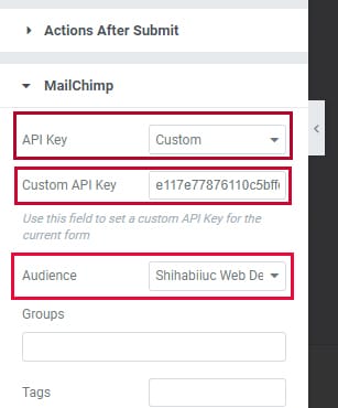 Setting MailChimp in Elementor
