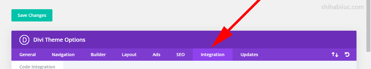 Divi theme options and then integration tab