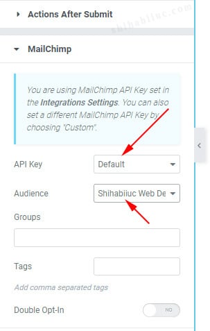 Connect Mailchimp to Elementor form