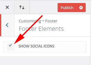 Divi theme customizer hide or show social icons 