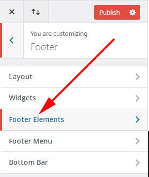 Divi theme customizer footer elements