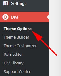 Divi theme options