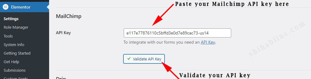 Paste & validate Mailchimp API key on your Elementor website