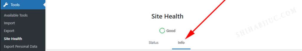 WordPress admin dashboard - Tools - Site Health - Info tab