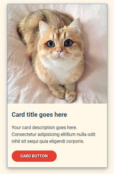 Card design with html css