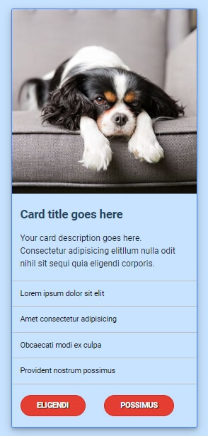 Card design with html css that contains list items and two buttons