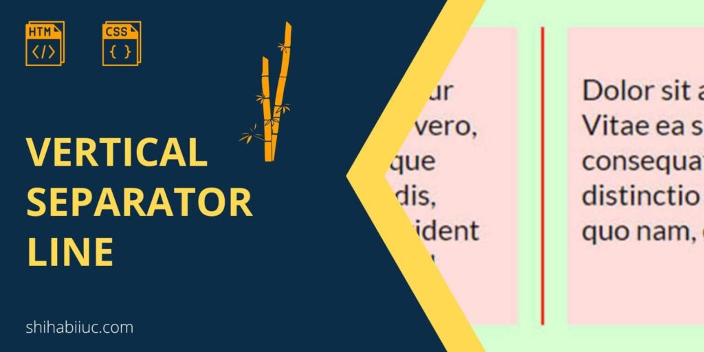 how-to-create-a-vertical-divider-or-separator-line-in-html-css