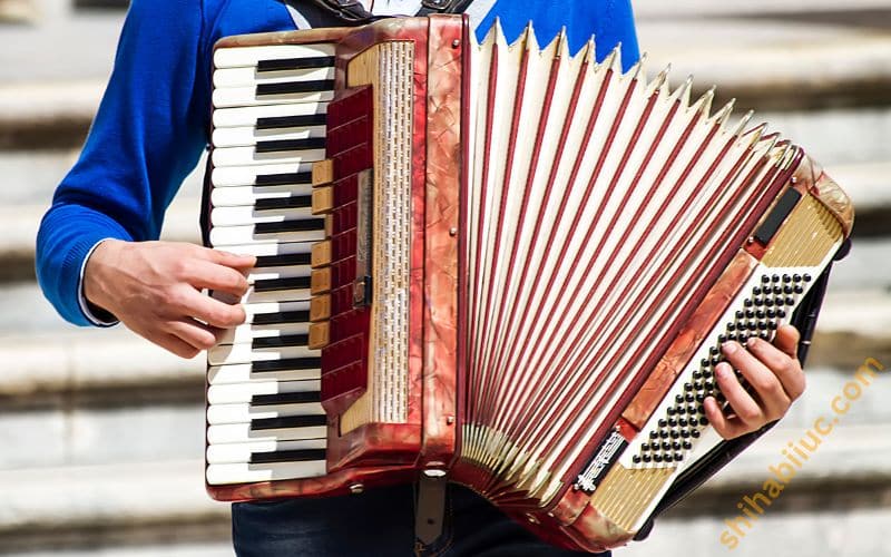 An accordion as a musical instrument