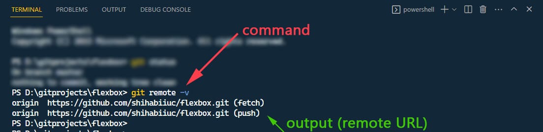 command to display Git remote URL