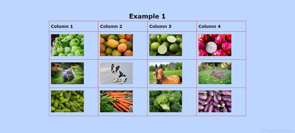 An HTML table with 12 images and four columns & three rows