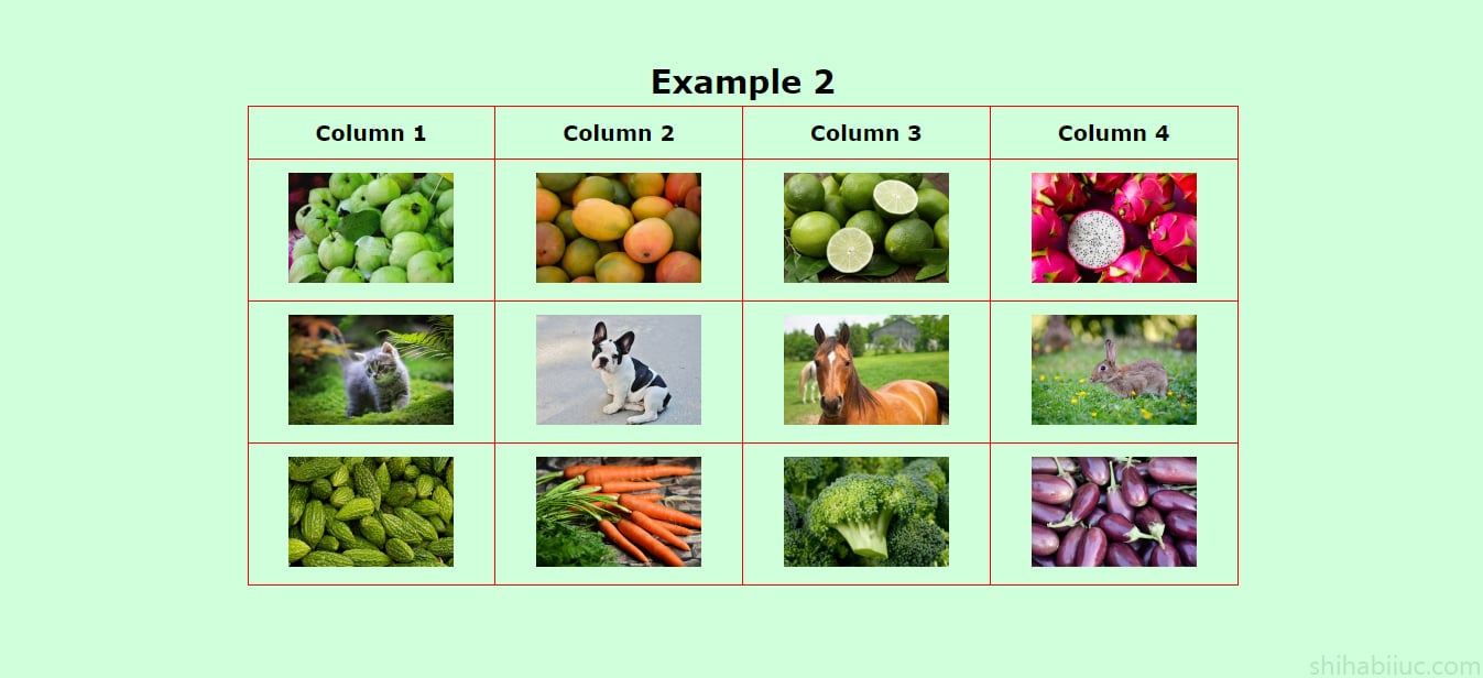 An HTML table with horizontally center-aligned images & text