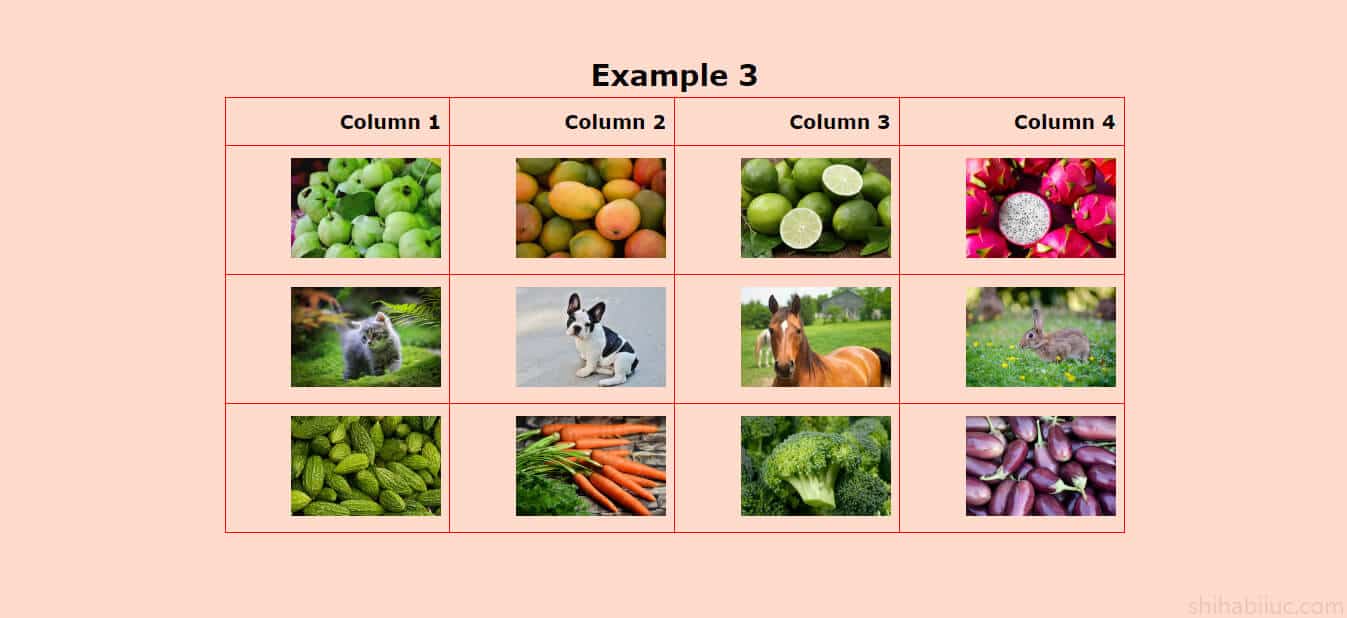 An HTML table with right aligned images and texts
