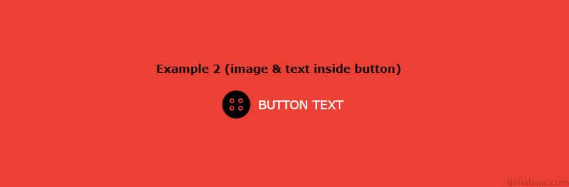 Image and text together inside a button