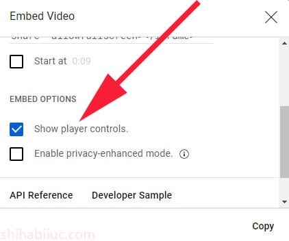 YouTube video embed options